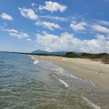 Oliviaaxelle Venzolasca